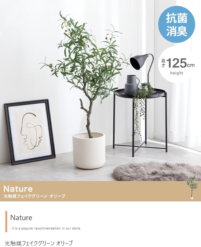 光触媒オリーブツリー 125cm｜水やり不要［Nature］