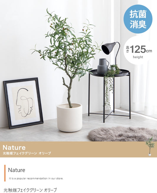 光触媒オリーブツリー 125cm｜水やり不要［Nature］