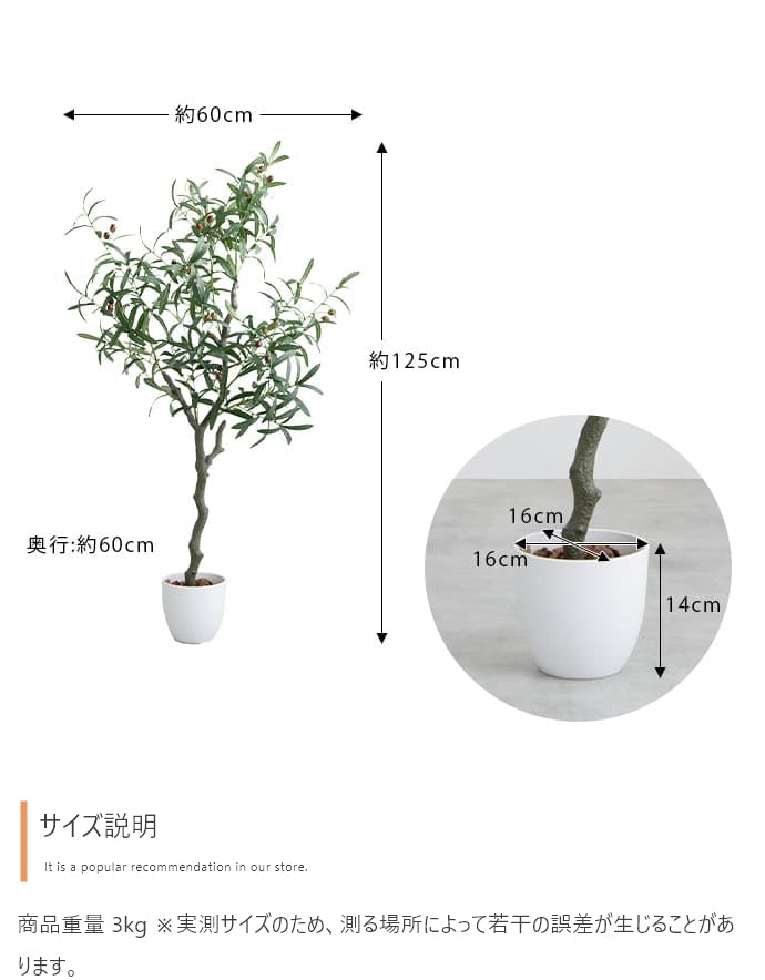光触媒オリーブツリー 125cm｜水やり不要［Nature］