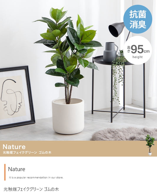 光触媒ゴムの木 95cm｜水やり不要［Nature］