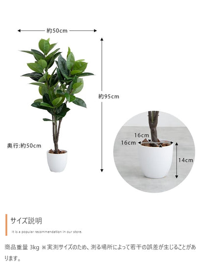 光触媒ゴムの木 95cm｜水やり不要［Nature］