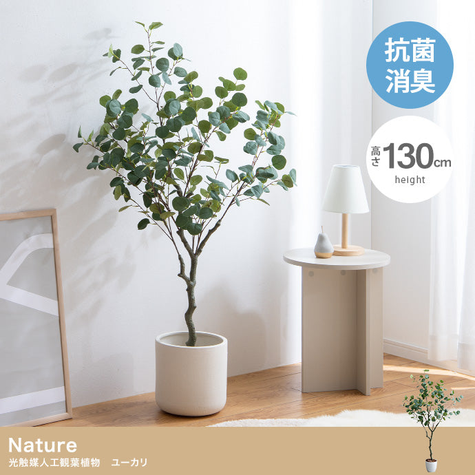 光触媒ユーカリツリー 130cm｜水やり不要［Nature］