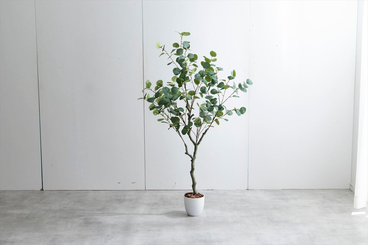 光触媒ユーカリツリー 130cm｜水やり不要［Nature］