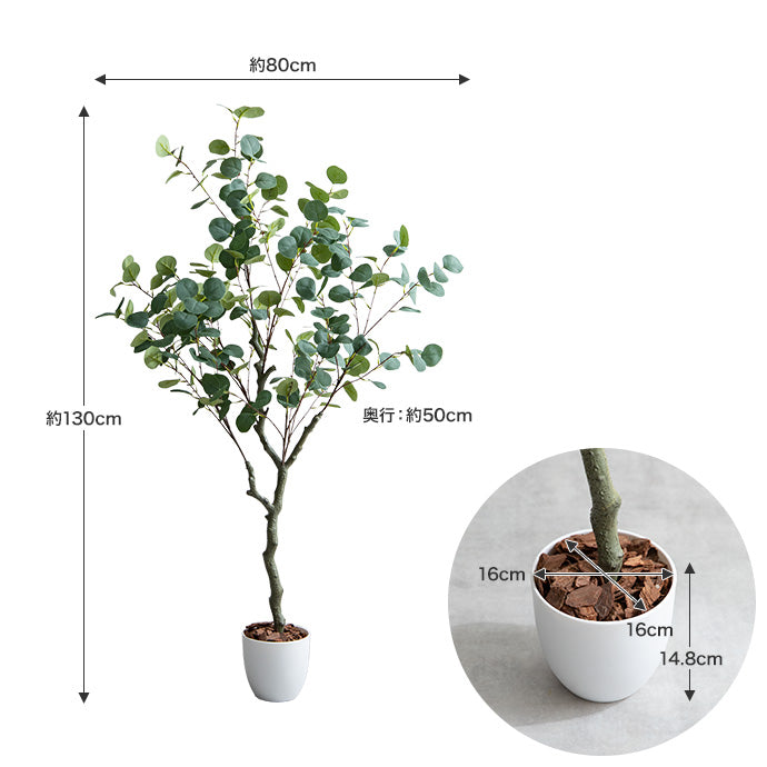 光触媒ユーカリツリー 130cm｜水やり不要［Nature］